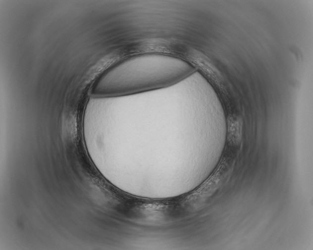 X0000112970158200909241334
