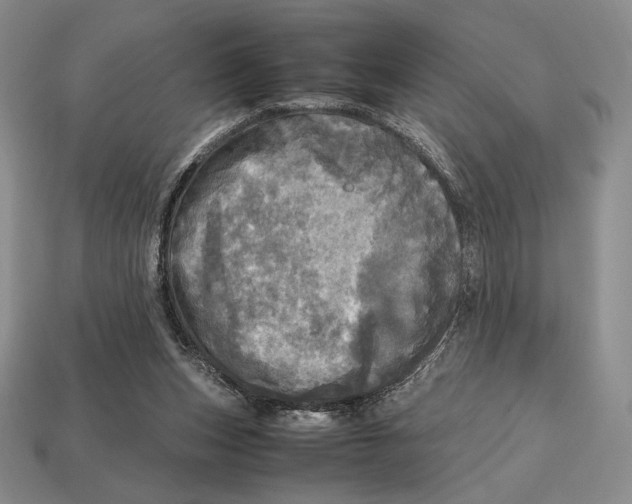 X0000112970159200909241334