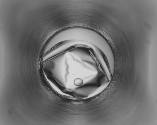X0000112970160200909241334