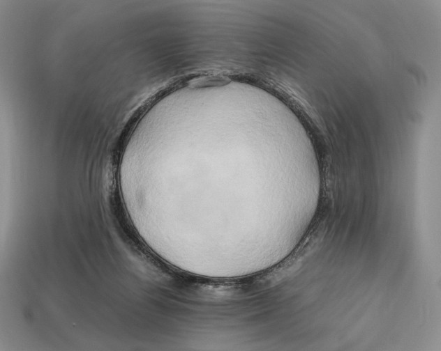 X0000112970164200909241334
