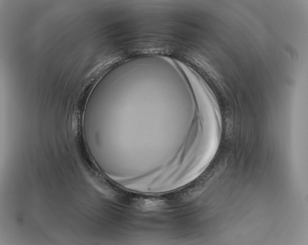 X0000112970165200909241334