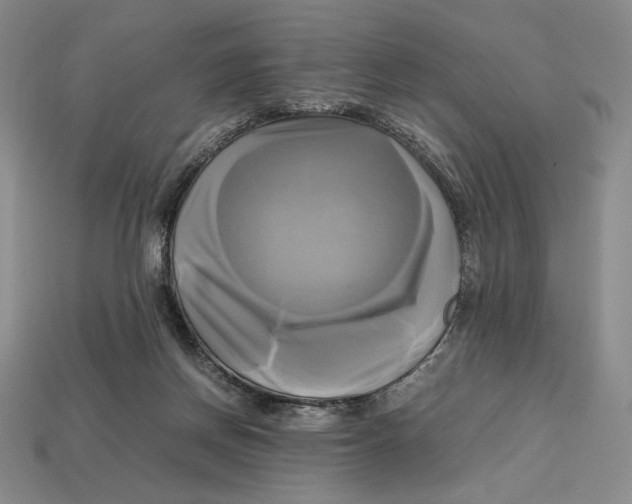 X0000112970166200909241334