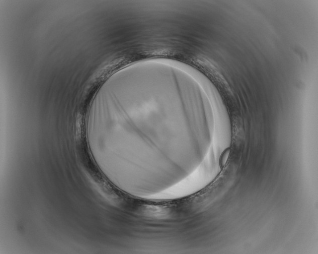 X0000112970167200909241334