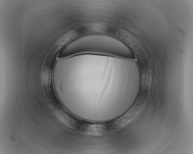 X0000112970168200909241334