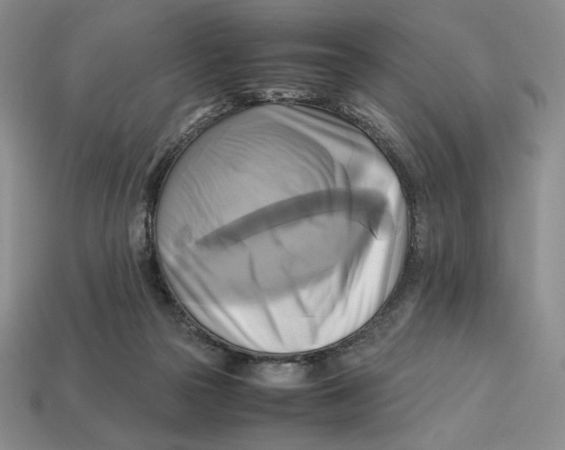 X0000112970169200909241334