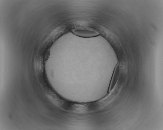 X0000112970170200909241334