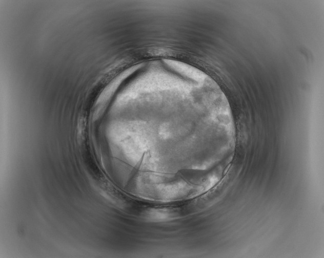 X0000112970171200909241334