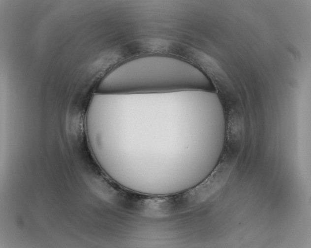 X0000112970172200909241334