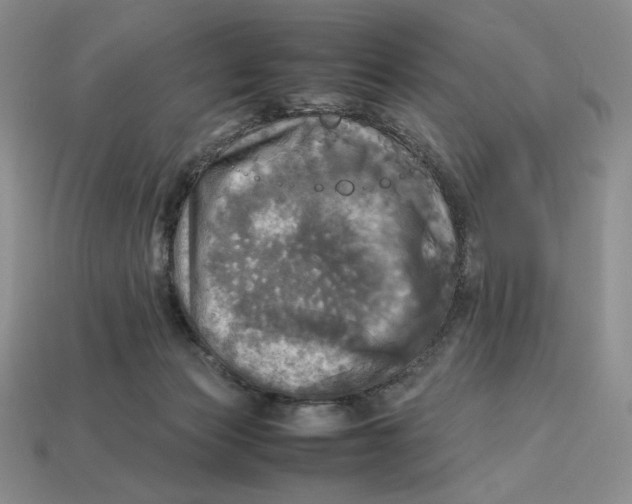 X0000112970173200909241334