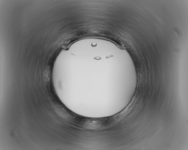 X0000112970174200909241334