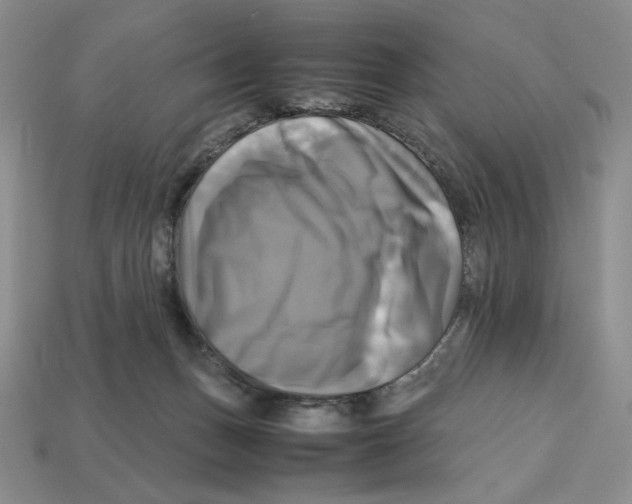 X0000112970175200909241334