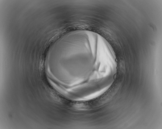 X0000112970177200909241334