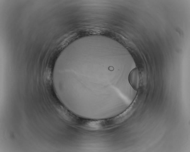 X0000112970178200909241334