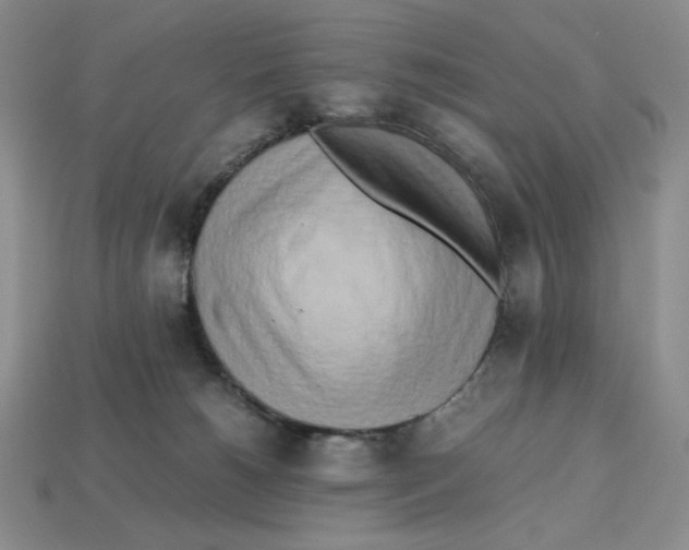 X0000112970180200909241334