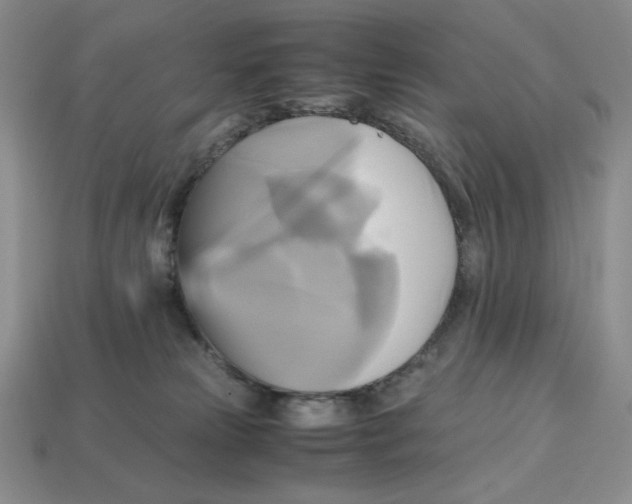 X0000112970181200909241334