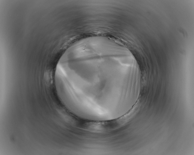 X0000112970182200909241334