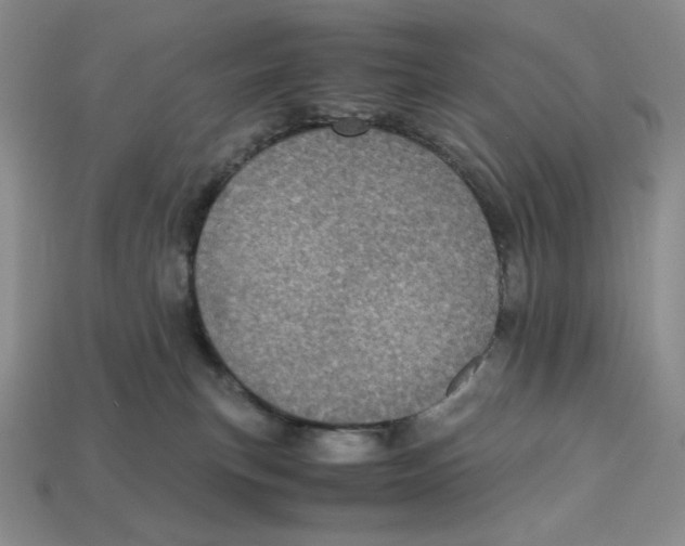 X0000112970183200909241334