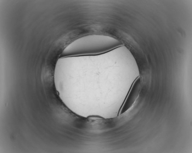 X0000112970186200909241334