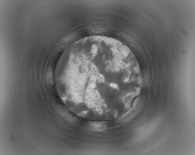 X0000112970187200909241334