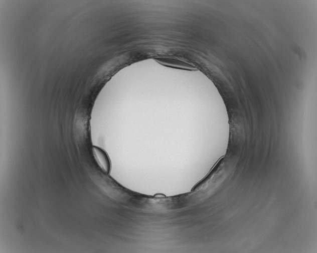 X0000112970188200909241334