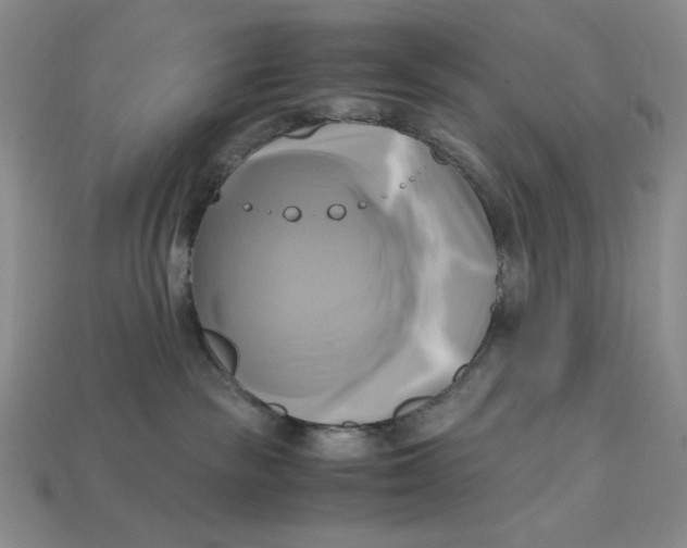X0000112970189200909241334