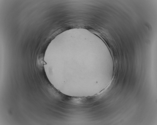 X0000112970190200909241334