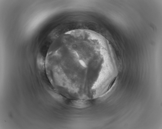 X0000112970191200909241334