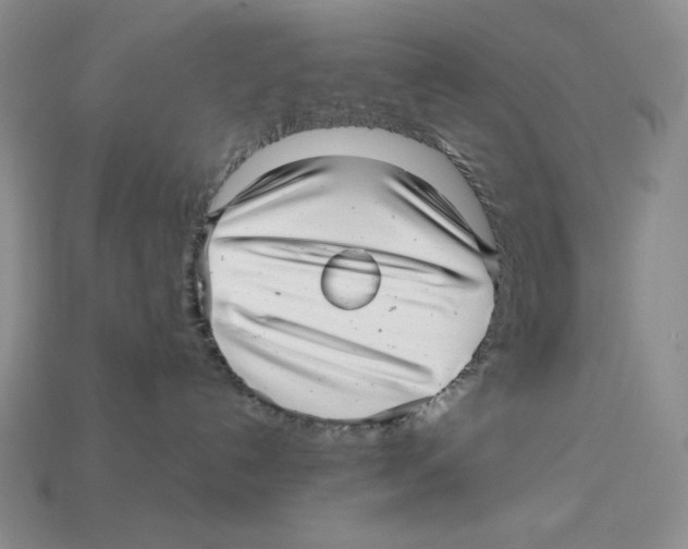 X0000112970192200909241334