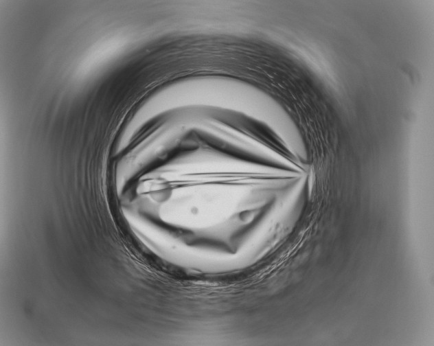 X0000112970195200909241333