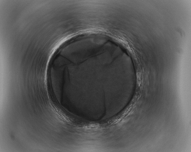 X0000112970196200909241333