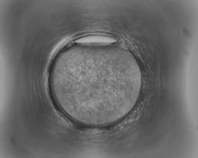 X0000112970197200909241333