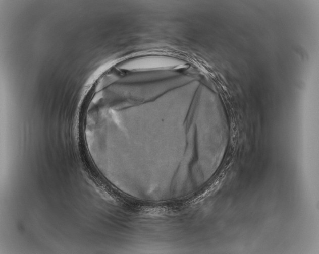 X0000112970200200909241333