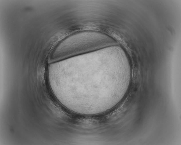 X0000112970201200909241333