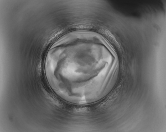 X0000112970202200909241333