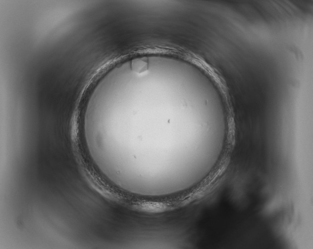 X0000112970203200909241333