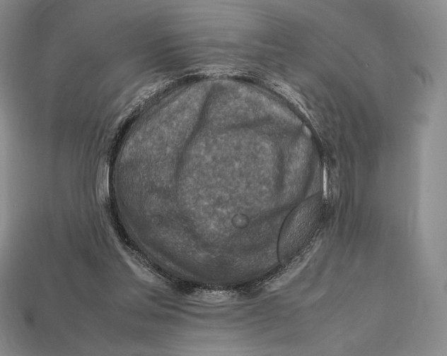 X0000112970205200909241333