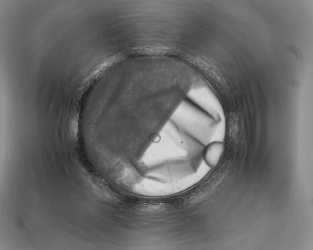 X0000112970206200909241333