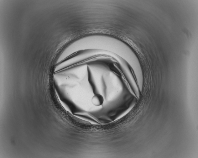 X0000112970207200909241333