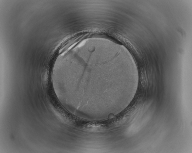 X0000112970208200909241333