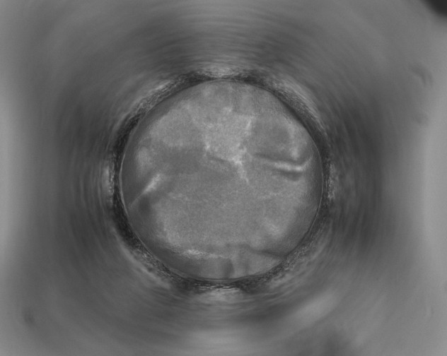 X0000112970210200909241333
