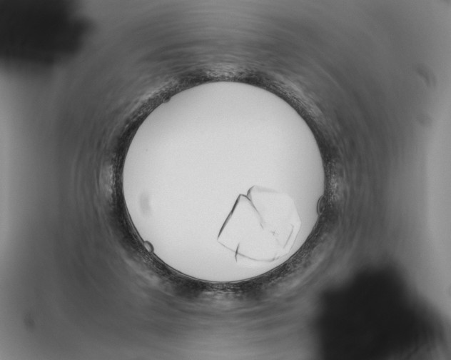 X0000112970211200909241333