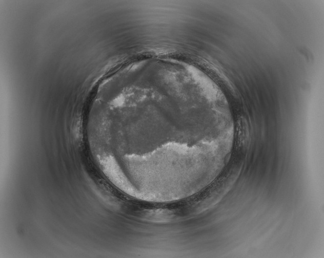 X0000112970212200909241333