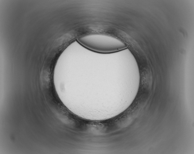 X0000112970215200909241333
