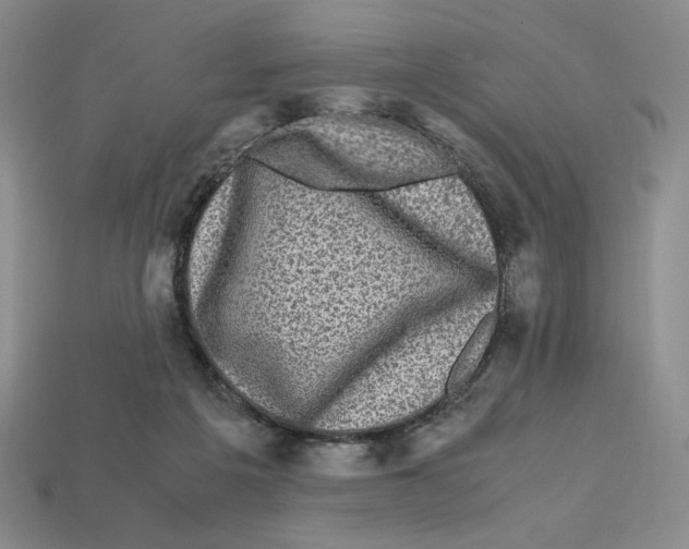 X0000112970217200909241333