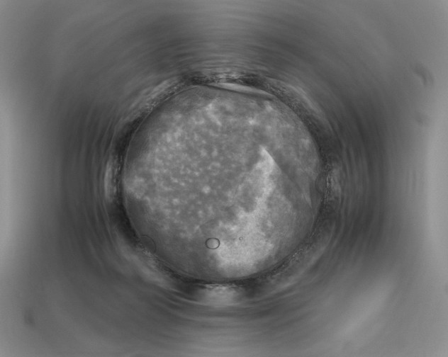 X0000112970218200909241333