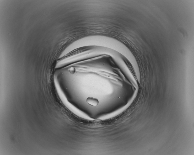 X0000112970219200909241333