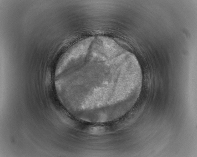 X0000112970220200909241333