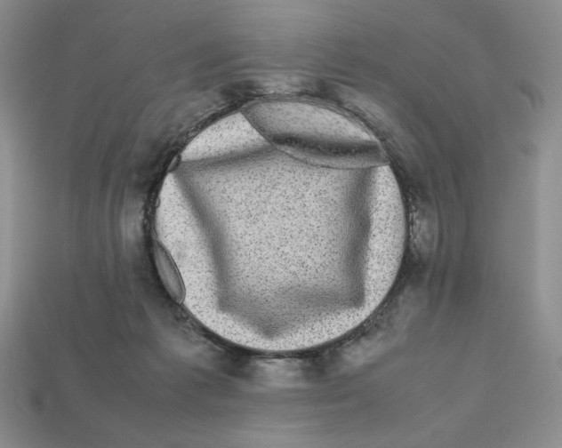 X0000112970221200909241333