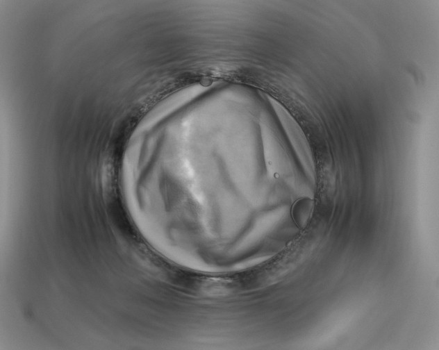 X0000112970222200909241333