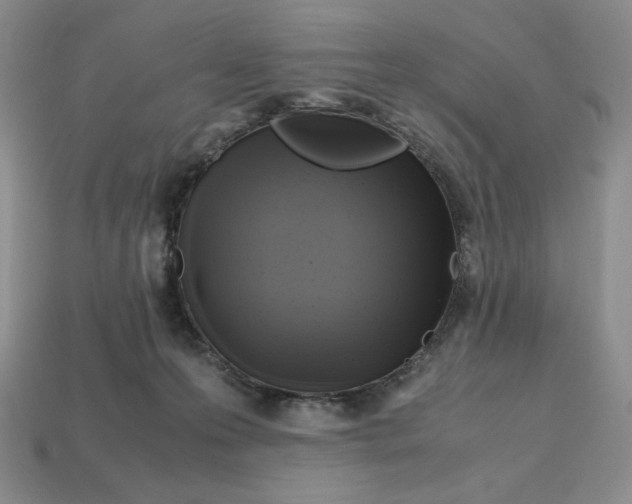 X0000112970223200909241333